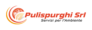 Pulispurghi Srl